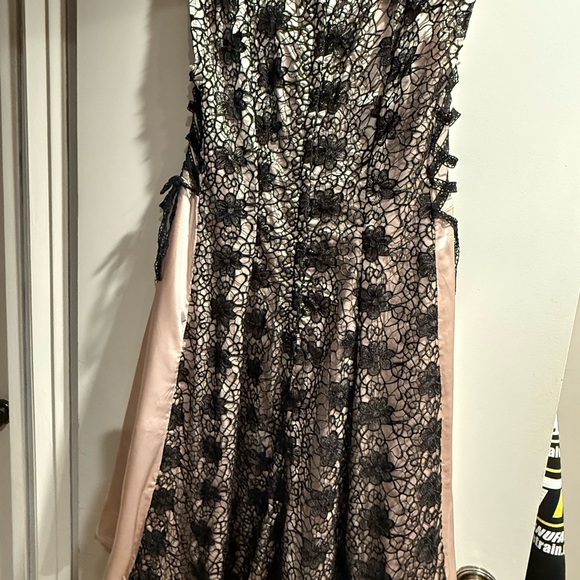 Bettie Page by Tatyana Elegant Lace Overlay Dress in Black and Beige - Picture 2 of 8